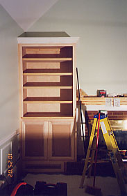 Custom bookcases with storage cabinets